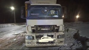 В МОМВД России «Мичуринский» возбуждено уголовное дело по факту ДТП со смертельным исходом
